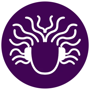Madusa Agency logo — Home